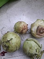 Fresh Knol Khol, 250g : Amazon.in: Grocery & Gourmet Foods