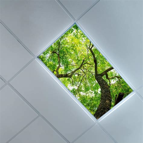 Lorougei Fluorescent Light Covers for Ceiling Light Diffuser Panels ...