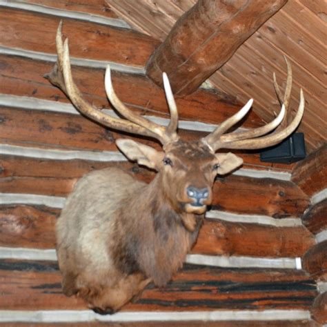 RIVER WILDLIFE LODGE RESTAURANT, Kohler - Menu, Prices & Restaurant ...