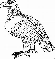 ausmalbilder zum ausdrucken adler ausmalbilder adler ausmalbilder ausmalbilder zum ausdrucken adler ausmalbilder adler ausmalbilder