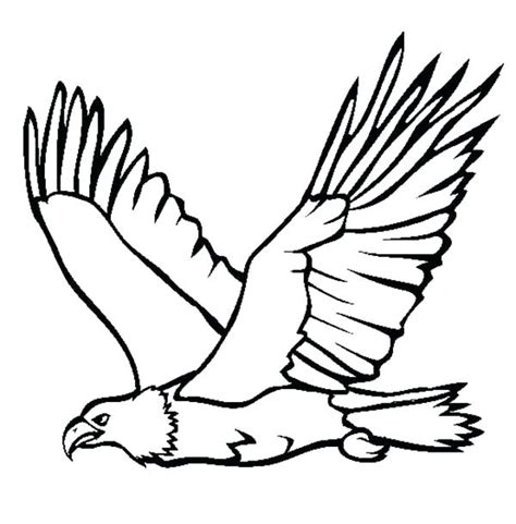 Easy Hawk Drawing | Free download on ClipArtMag