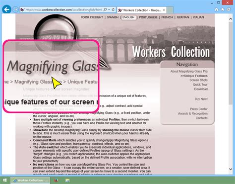 Image result for Magnifying Glass Computer Screen
