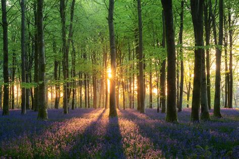 Amazing Views Adventure 的图像结果