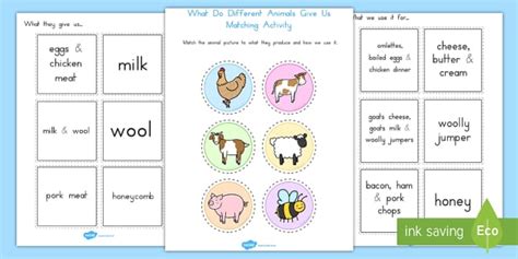 What Do Different Animals Give Us Matching Activity - australia