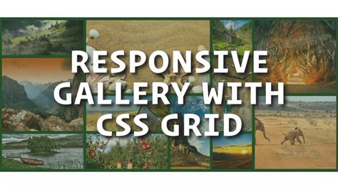Image result for Grid CSS Gallery Layout