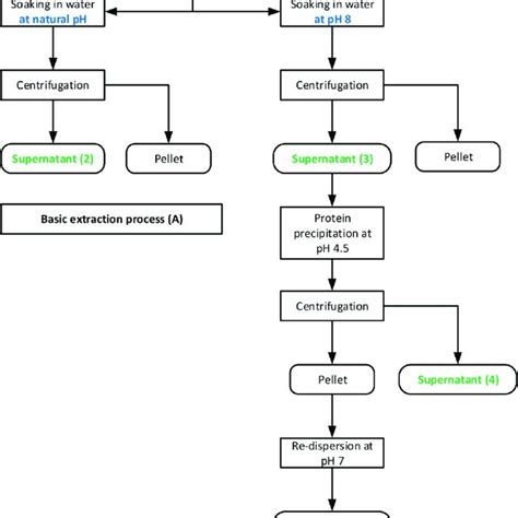 Image result for Pea Protein Extraction Process Flow Chart