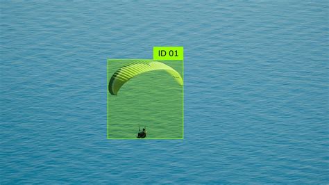 Diffusion Model Label 的图像结果