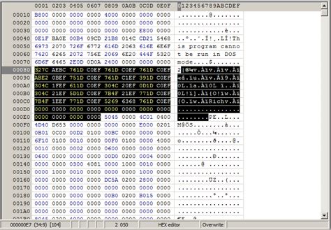 Image result for Portable Executable