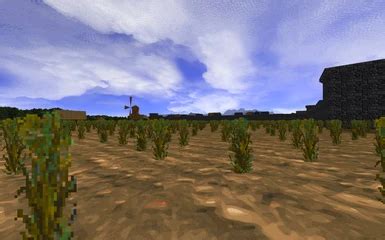 Image result for Minecraft Daggerfall