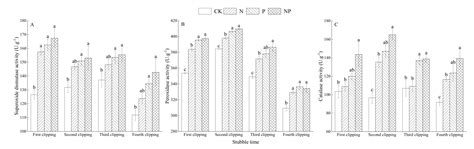Effects of Nitrogen and Phosphorus Fertilization on Photosynthetic ...
