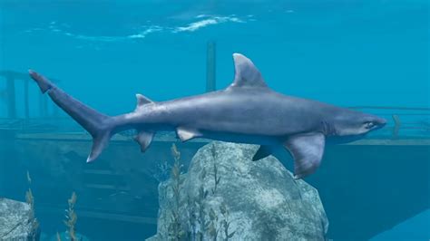 Image result for Stranded Deep Update