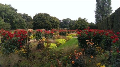 Gutersloh Tourism (2024): All You Need to Know Before You Go