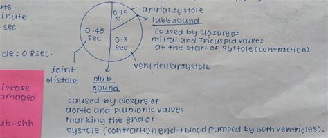 Describe the sequence of events which occur in the cardiac cycle in ...