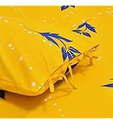 Home Ecstasy 100% Cotton Double Bedsheet with 2 Pillow Covers - (Size ...