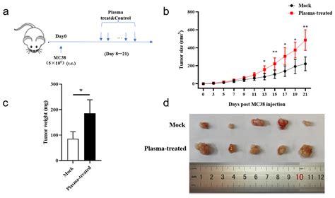 Dose-Dependent Effects in Plasma Oncotherapy: Critical In Vivo Immune ...