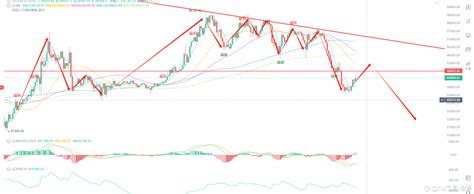 3.29 Yesterday, the main force's selling has temporarily com | 币圈-财神 on ...