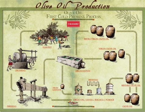 Traditional Olive Oil Production Process
