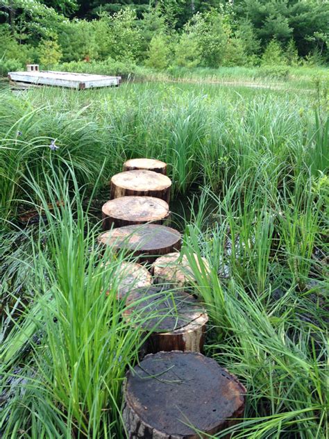 Creating A Vibrant Natural Habitat Yard On A Budget