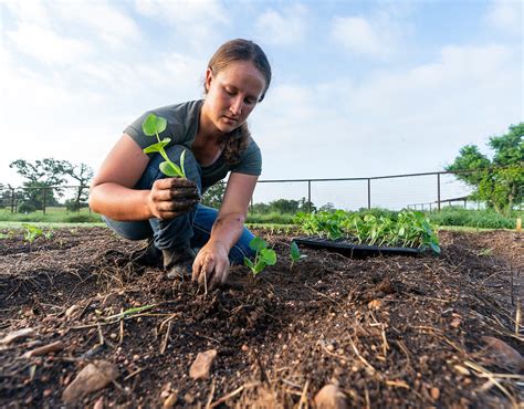 Beginning of Farming 的图像结果