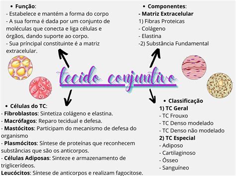 Image result for CodeHS Fundamentals of Computing 5 Overview Answer Key