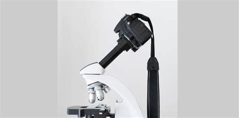 Image result for Microscope Camera Set Up