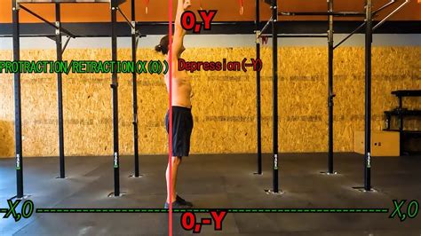 Image result for Muscle Up Tutorial