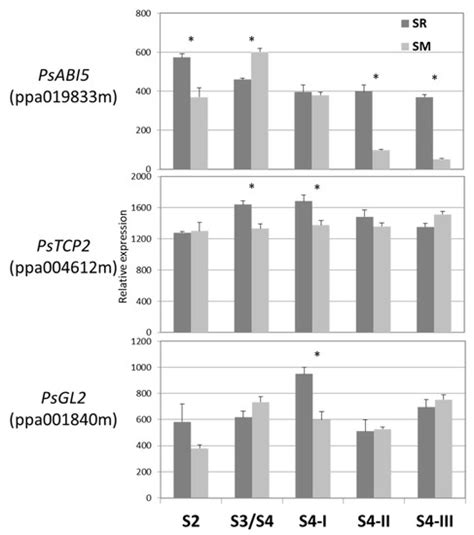 Ethylene Response of Plum ACC Synthase 1 (ACS1) Promoter is Mediated ...