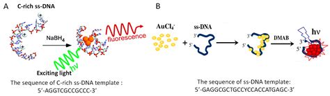 DNA-Templated Fluorescent Nanoclusters for Metal Ions Detection