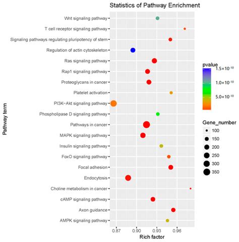 Analysis of the miRNA Expression Profiles in the Zearalenone-Exposed ...