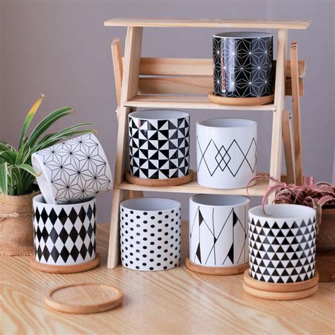 Black And White Planter Online - Premium Planter | Nestasia