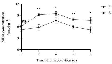 Physiological and Gene Expression Analysis of Herbaceous Peony ...