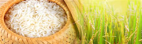 Punjab Rice Mills & Cold Storage