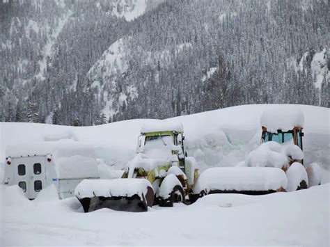 Operating a Mini Excavator 的图像结果