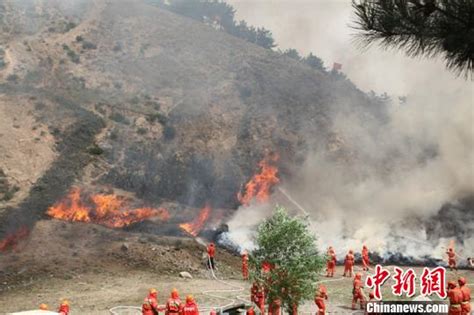 火灾致山西4名森林消防专业队员遇难|山西|火灾|森林火灾_新浪新闻