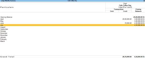 Daily Ledger Breakup Report - Tally Prime