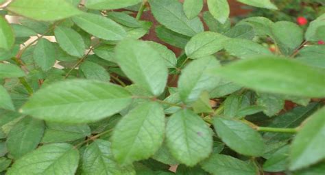 Untitled Page [esoterics.in]