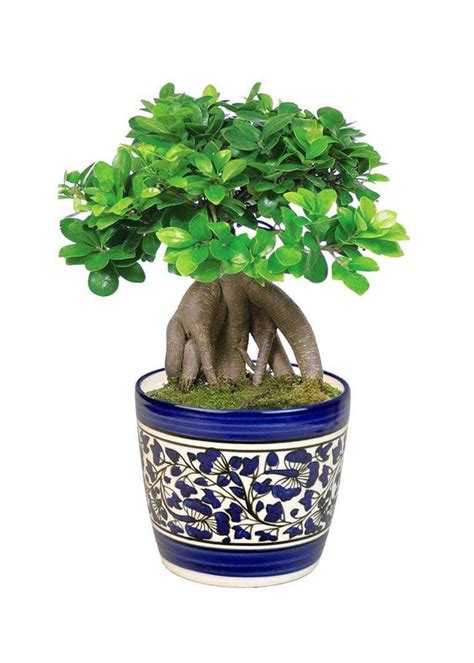 Get Handmade Ceramic Planter Bowl Pot in Handmade Blue Ceramic Pottery ...