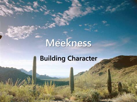 Image result for Meekness Examples