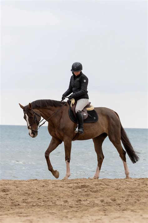 Aria Ribbed Function breeches | Maya Delorez