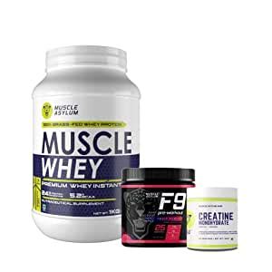 Muscle Asylum |Monthly Stack| Muscle Whey Protein Kesar Pista 25 ...