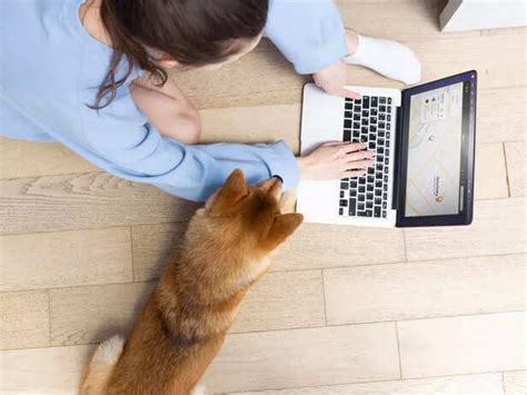 From Leashes to Laptops: How Pets Are Reshaping Workplace Culture in 2025