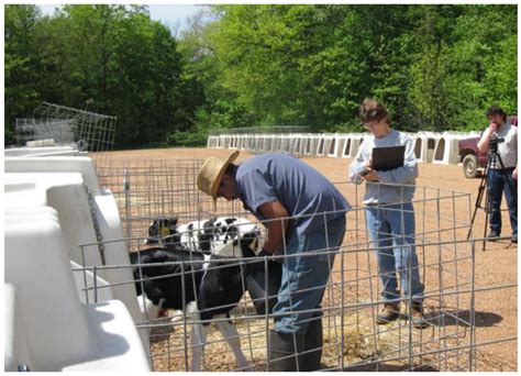 Development of an Occupational Health Safe Return to Work Prototype ...