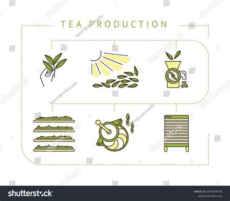 Image result for Simple Tea Making Process Picture