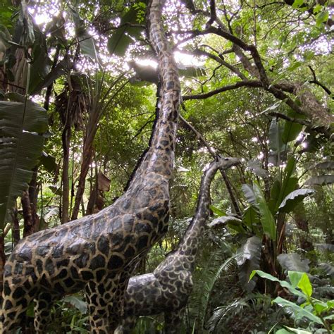 AMMAZULU GARDEN AND SCULPTURE PRECINCT Guide (2026) All You Need to ...