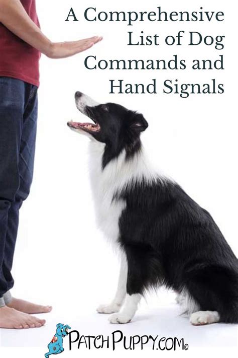 Image result for Service Dog Hand Signals