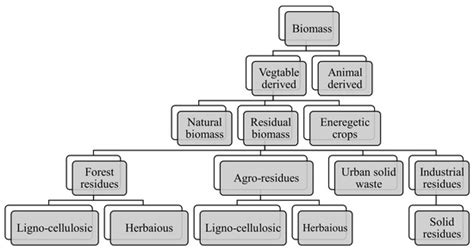 Recent Advances in Biomass Pyrolysis Processes for Bioenergy Production ...