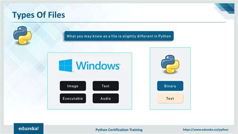 python in file processing 的图像结果