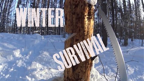 Tree Felling Fails 的图像结果