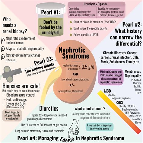 Symptoms Of Nephrotic Syndrome - Printable Free Templates