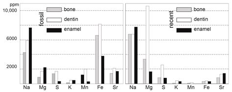 Navigating the Limits: Unraveling Unidentified Fossil Bone and Tooth ...